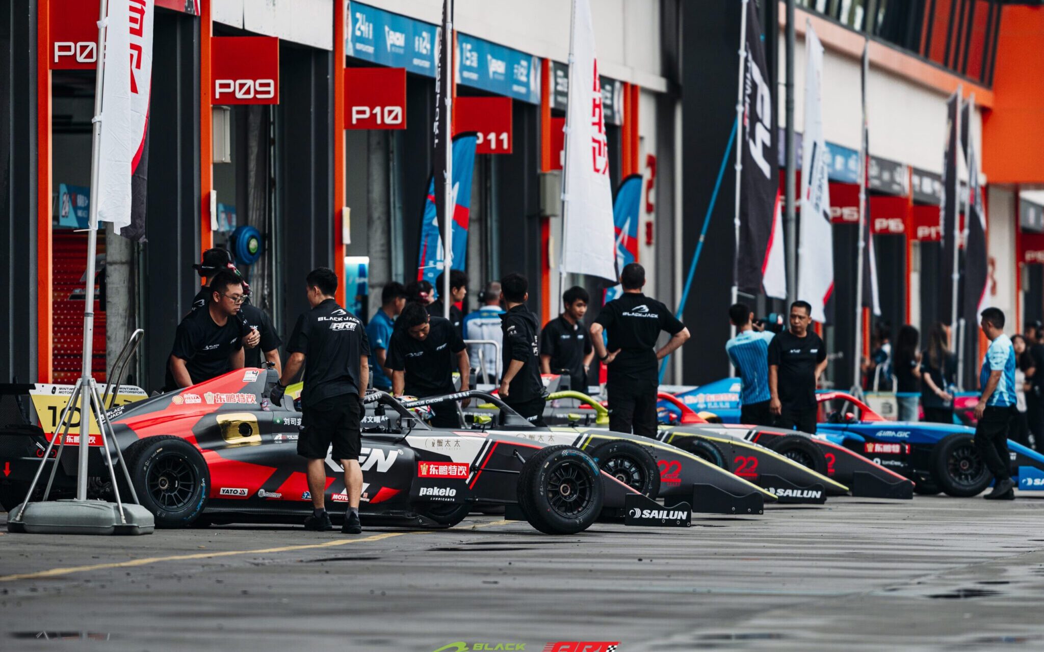 WXT08012-opq3959330512